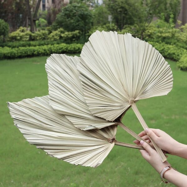 Cattail Leaf Fan Ori