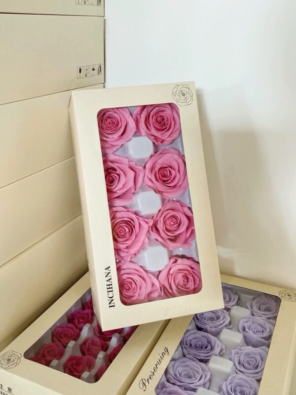 A Level Preserved Rose Flower (8pcs)